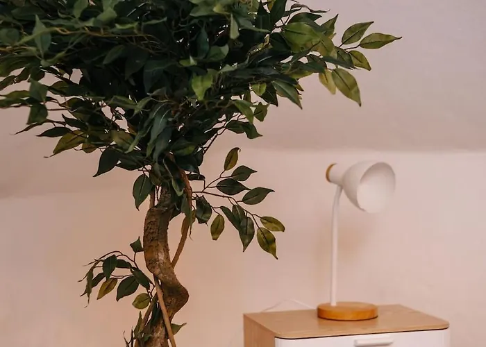 Modern & Black - - Netflix - Wifi - 4 Person * Bochum